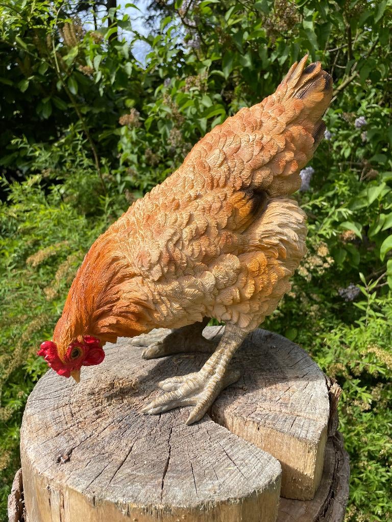 Image poulet, picorant, beige, jardin, pelouse, ferme 35cm, Enlèvement, Neuf, Synthétique, Animal