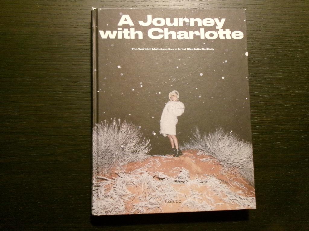 A journey with Charlotte -Stefan Ashkenazy-, Ophalen of Verzenden