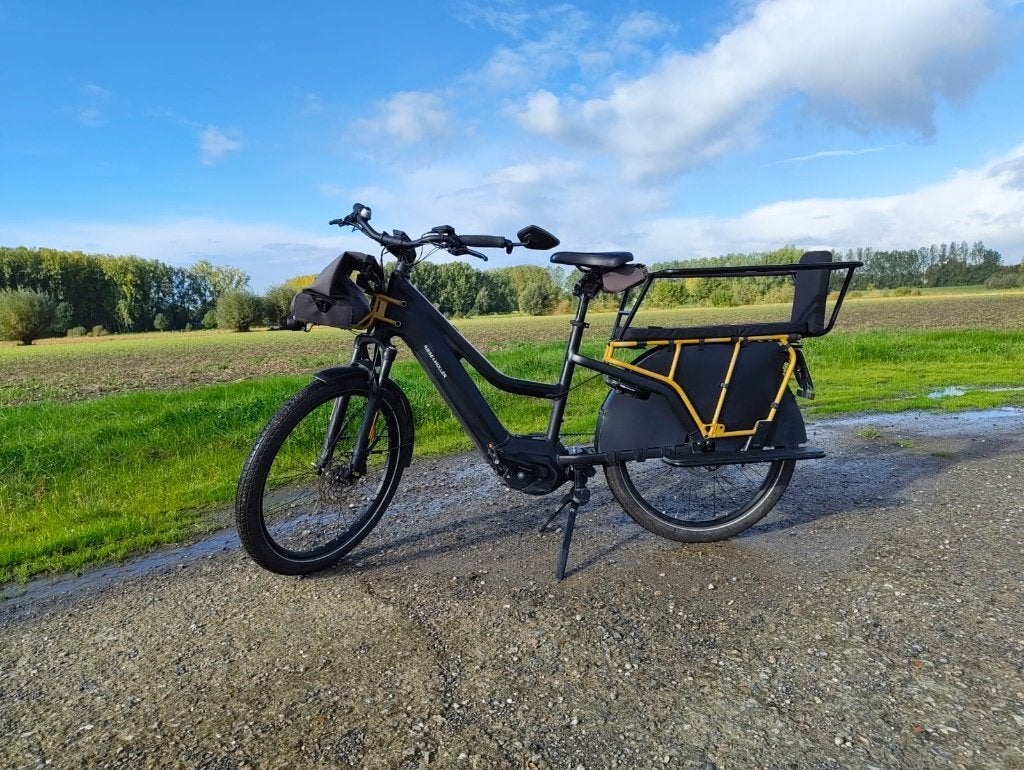 Riese Muller - Multicharger - Speed Pedelec, Fietsen en Brommers, Gebruikt, 51 tot 55 cm, 50 km per accu of meer, Ophalen