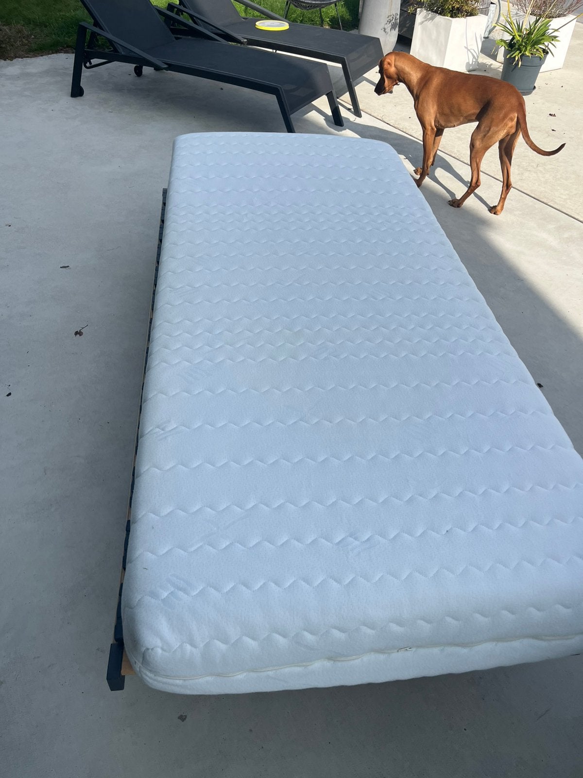 Bed. Lattenbodem op poten en matras, Ophalen, Zo goed als nieuw, Matras