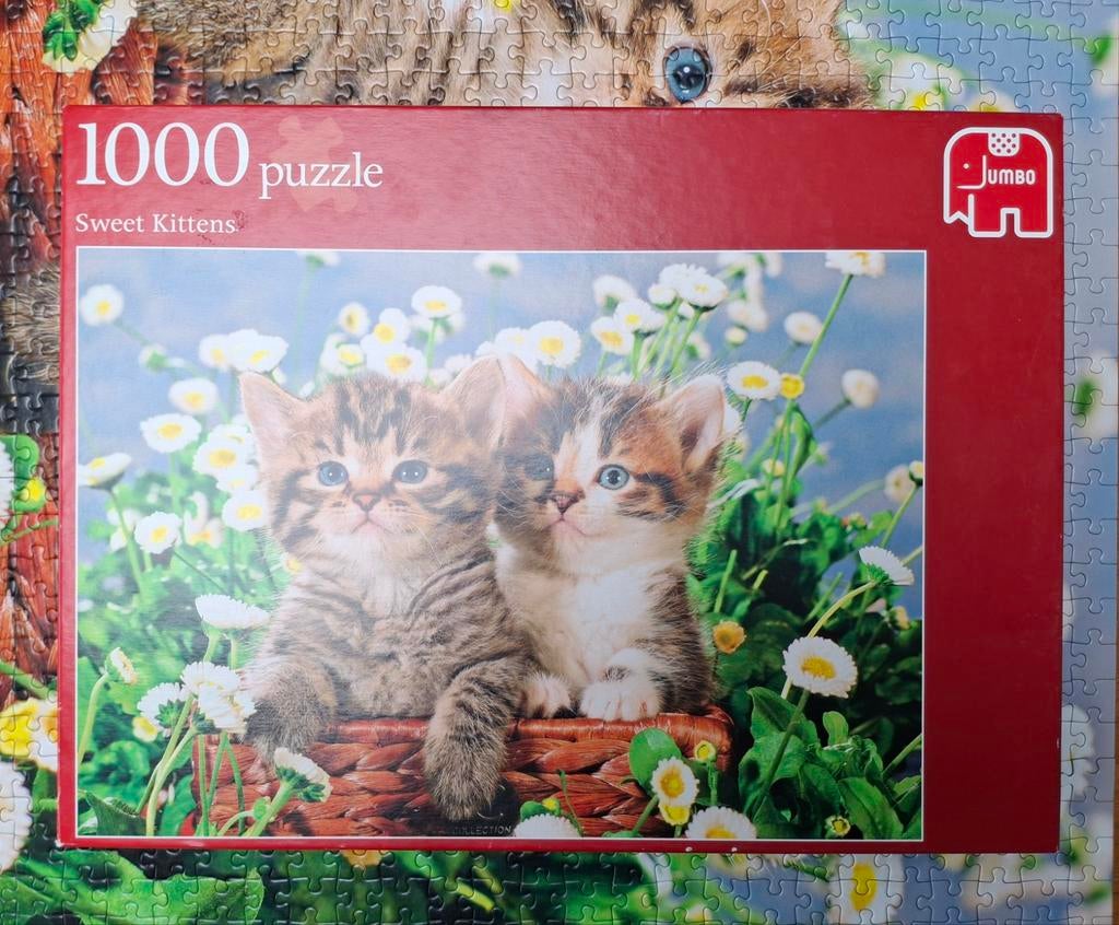Puzzel Sweet kitten -  1000 stukjes., Hobby en Vrije tijd, Ophalen