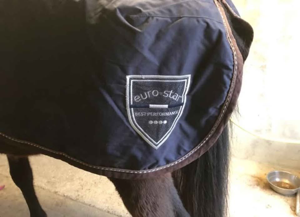 Verschillende paardenspullen, Gebruikt, Overige merken, Zweetdeken, Overige materialen