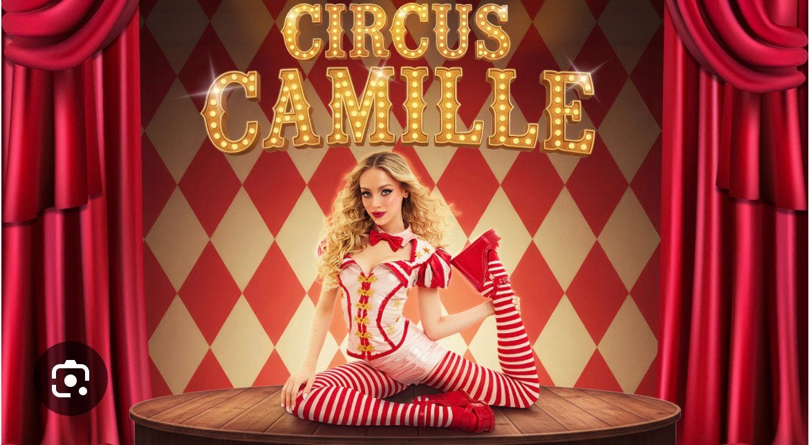 3 Tickets circus camille te koop wegens operatie, Tickets en Kaartjes, Drie personen of meer