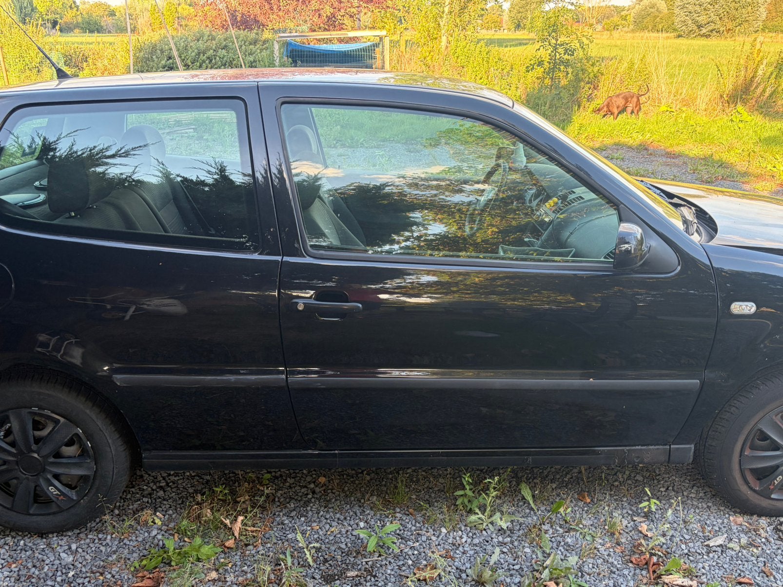 Volkwagen polo 1.4, Voorwielaandrijving, Stof, Zwart, 4 cilinders