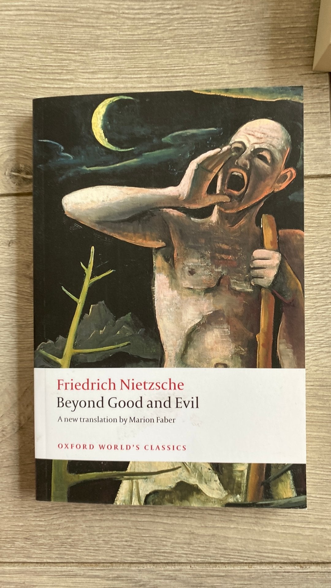 Beyond good and evil, Boeken, Filosofie, Ophalen, Zo goed als nieuw