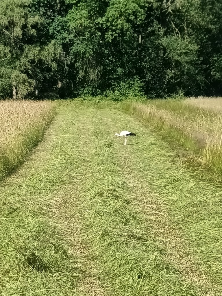 hooi te koop, Zakelijke goederen, Ophalen