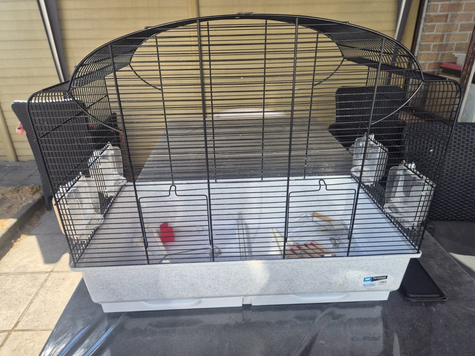 vogelkooi, Enlèvement