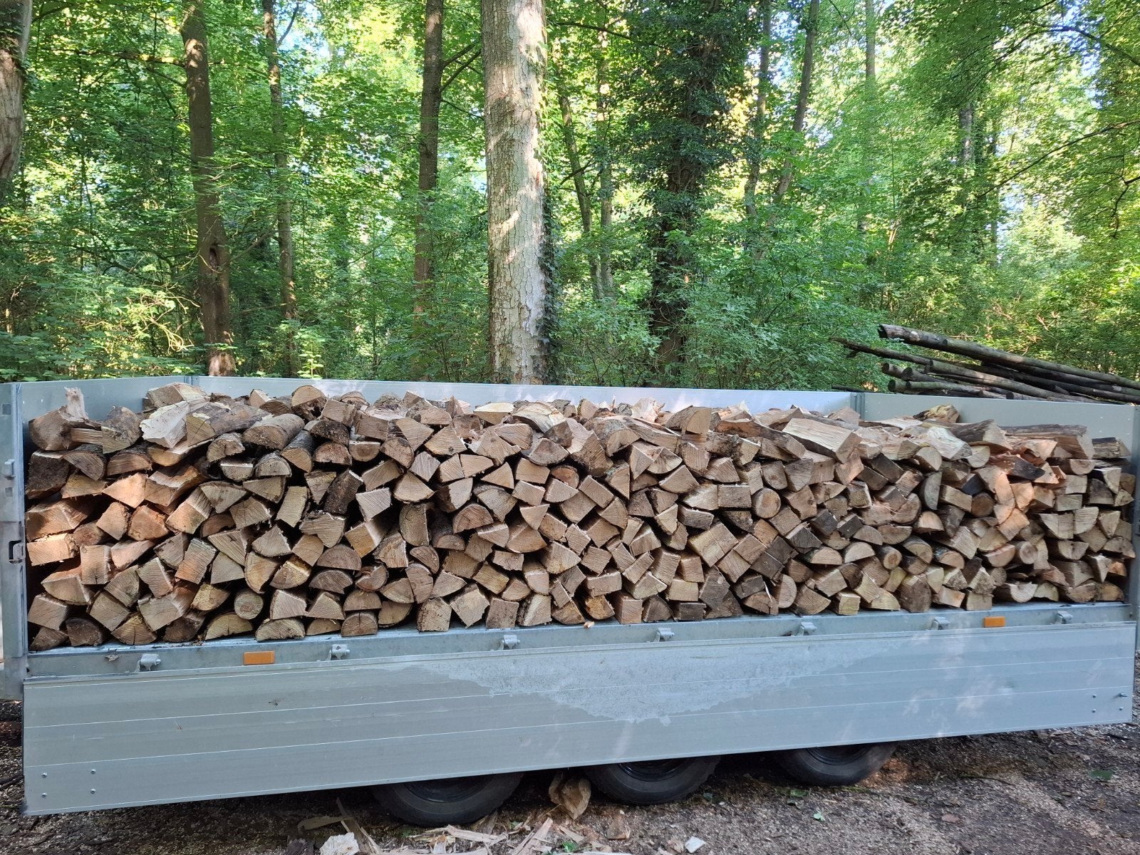 Bois de chauffage, Essenhout