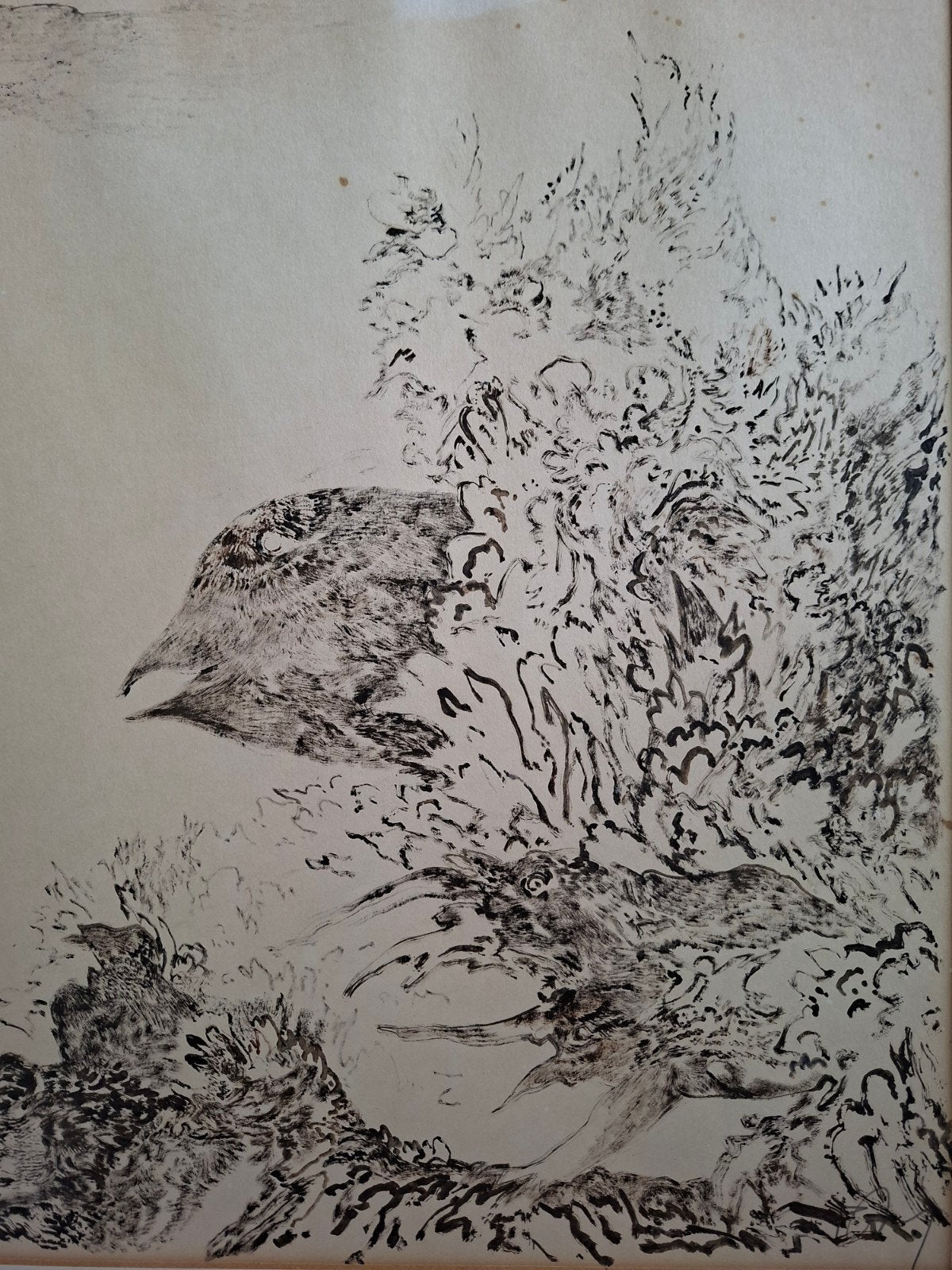 MINNAERT Frans "Vogel" inkttekening, Antiek en Kunst, Ophalen of Verzenden