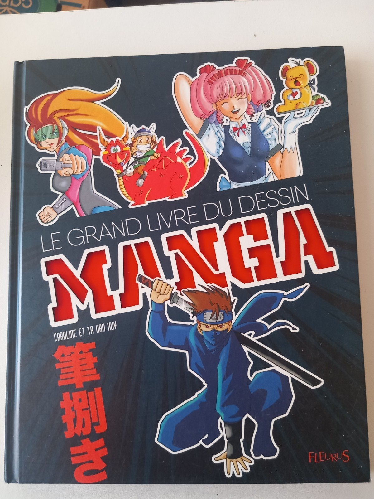 Le grand livre du dessin manga dessin animé bande dessinée B, Comics, Enlèvement ou Envoi, Comme neuf