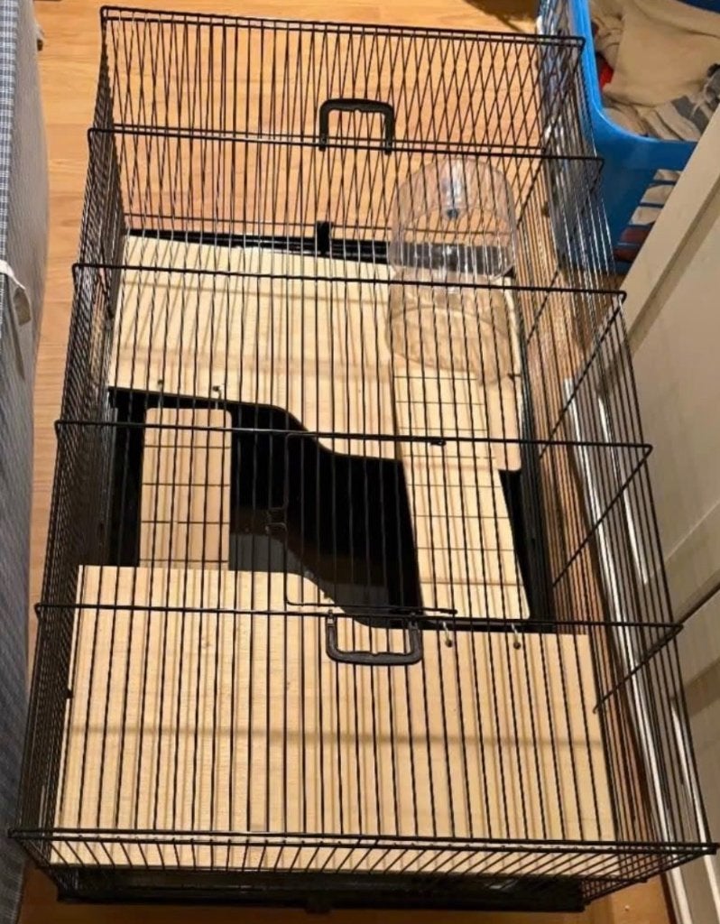 Cage hamster neuve + tout matériel (roue, maison), Animaux & Accessoires, 75 à 110 cm, Cage, Comme neuf, Enlèvement