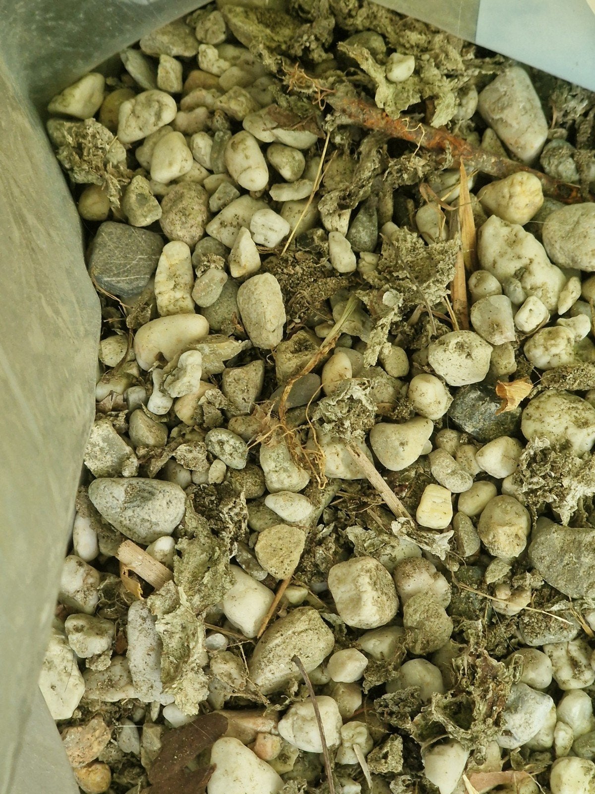vijver kiezels, Tuin en Terras, Ophalen, Gebruikt