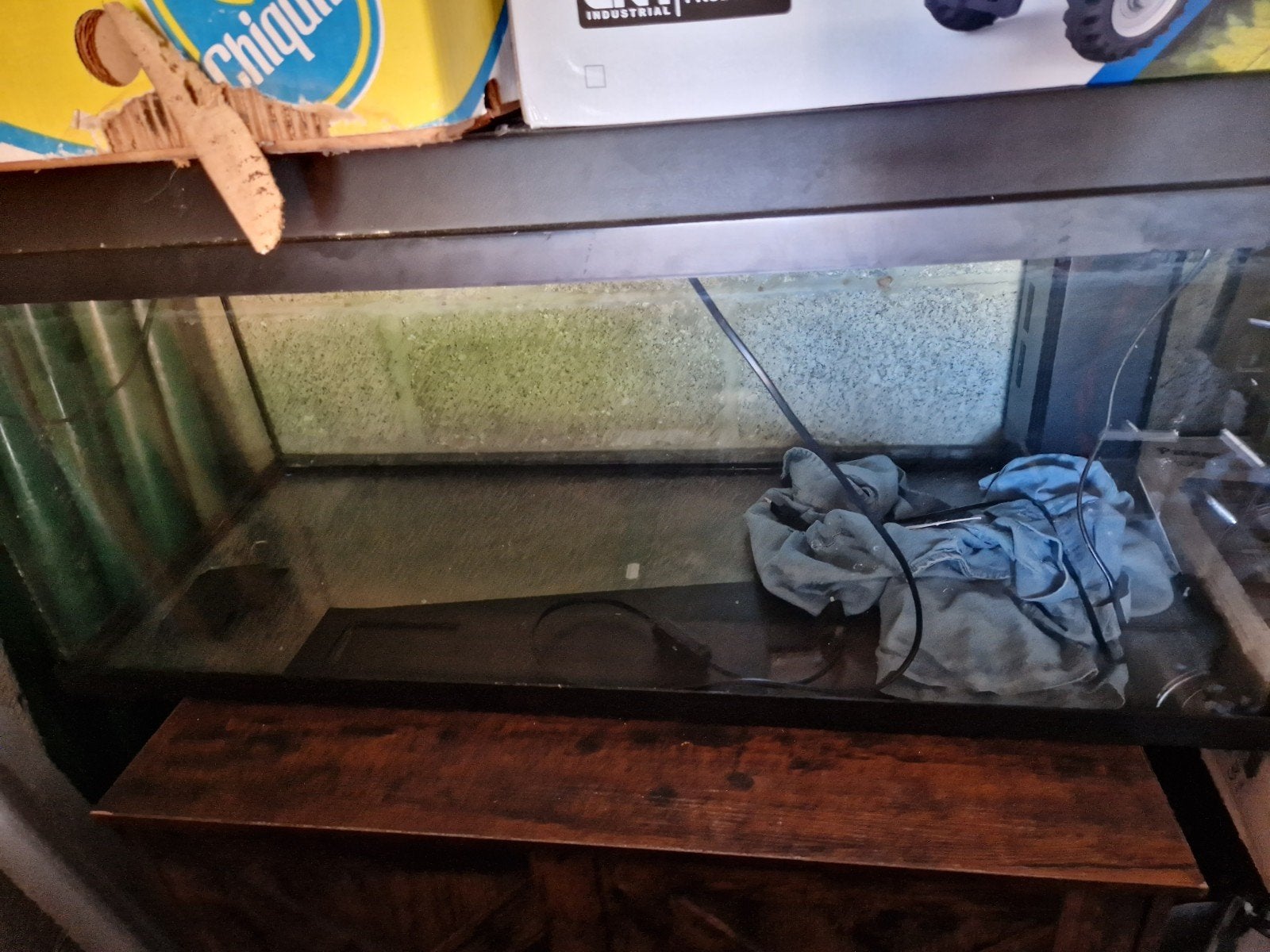 vis aquarium met filter, Ophalen, Gebruikt, Overige typen