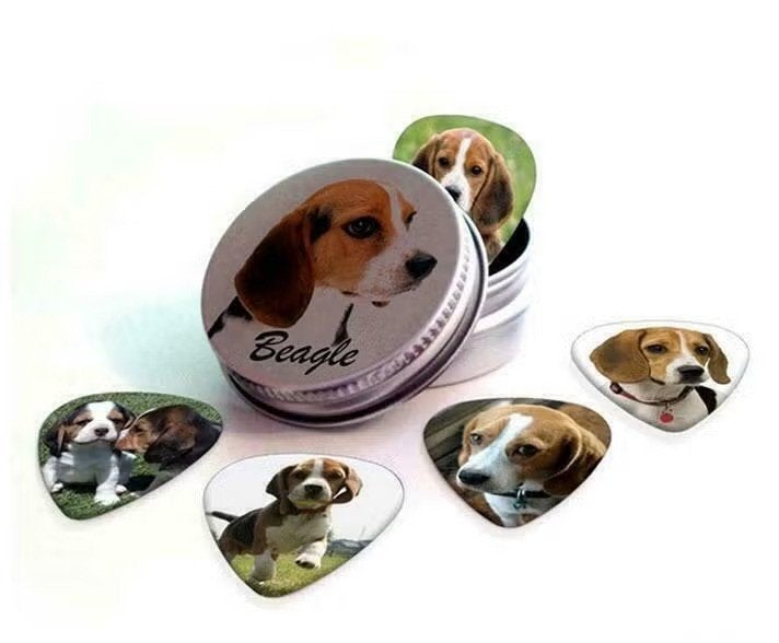 Blikje + plectrums met afbeelding van een Beagle hond, Enlèvement ou Envoi, Neuf