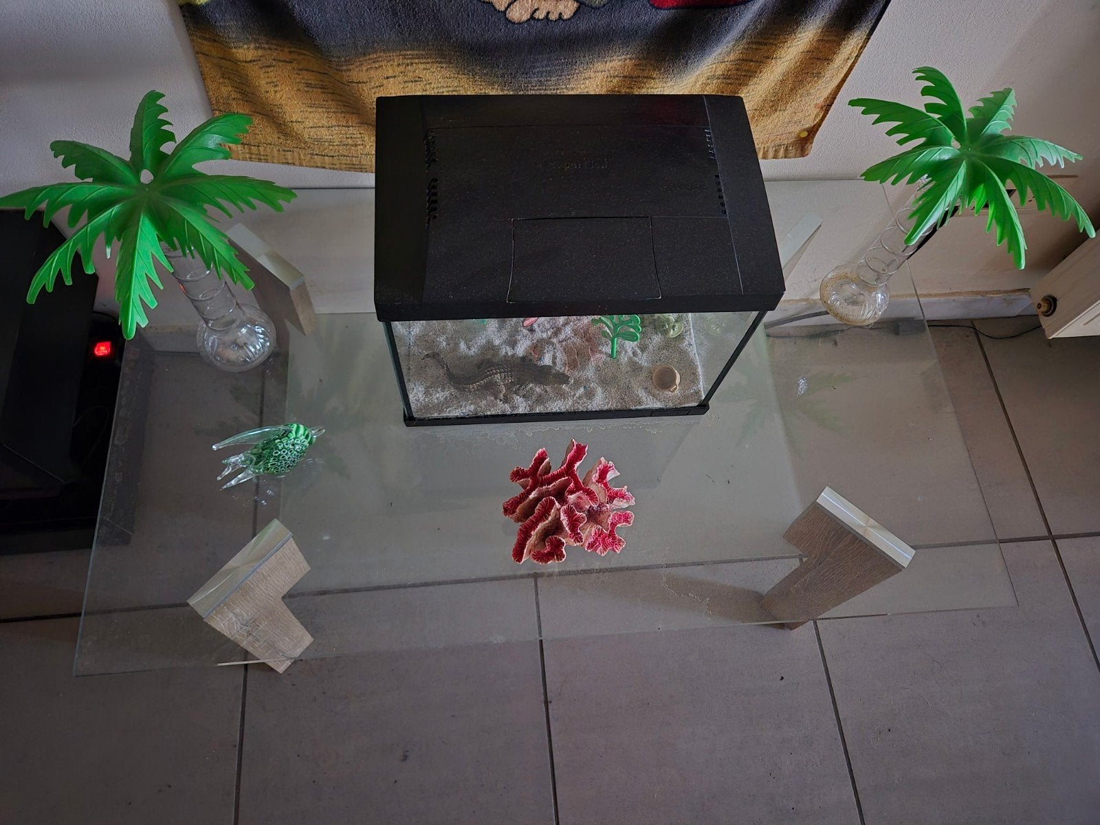 A vendre table en verre plus aquarium faire offre, Verre, Enlèvement, Utilisé, Rectangulaire