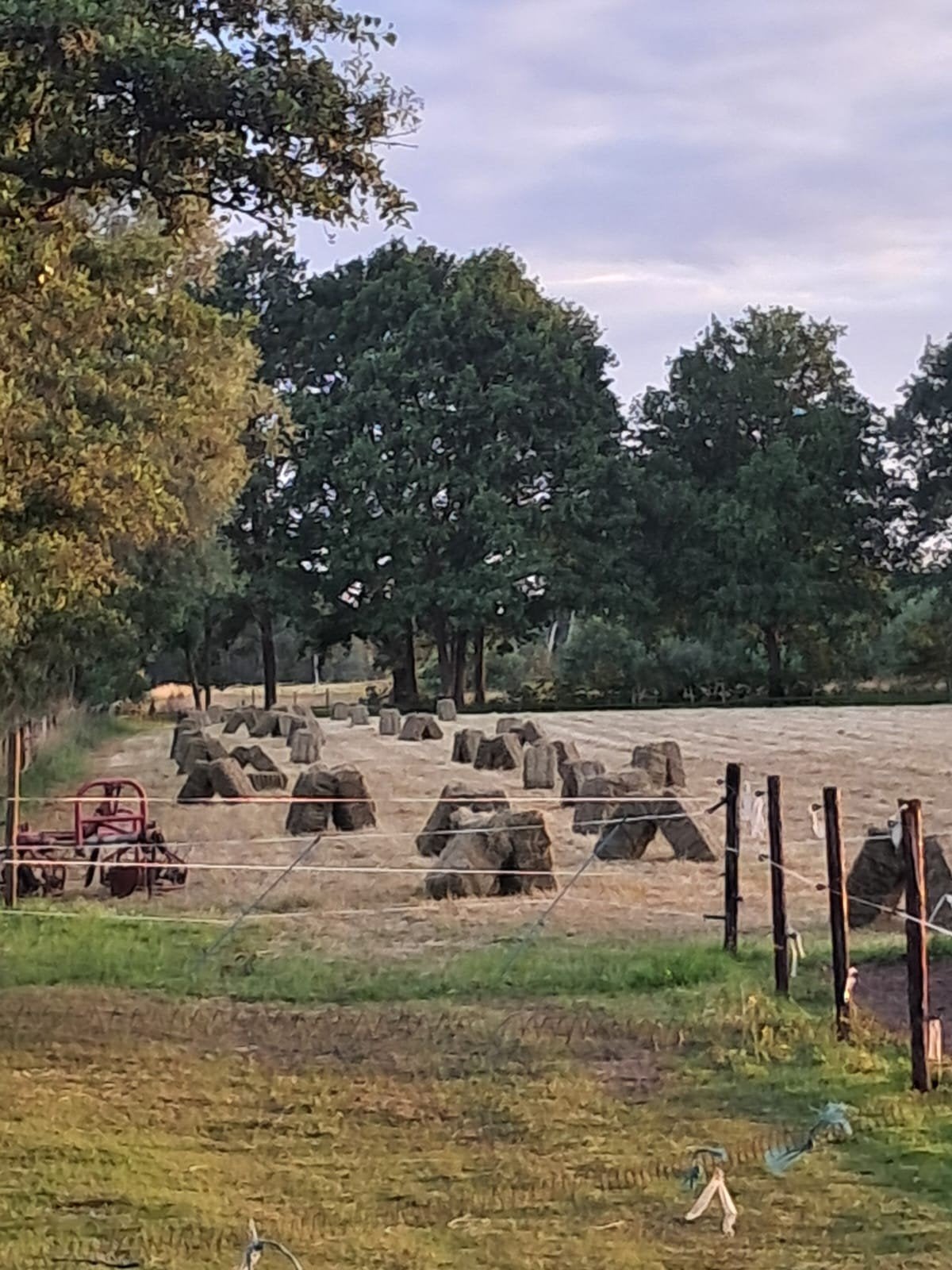 kleine pakjes hooi van 2026, Ophalen