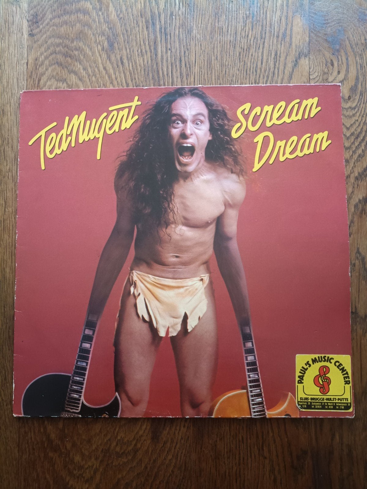 33 T vinyl Ted Nugent, LP, Enlèvement ou Envoi, Autres formats, Utilisé
