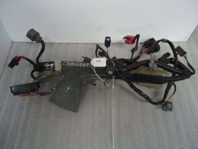 CBR600F 2001 - 2006 Honda Kabelboom Kabelboom hoofd D1-16743