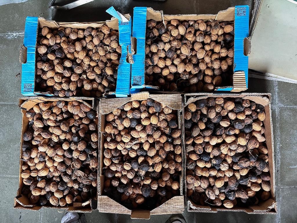 Noix bio 18 kg, Enlèvement