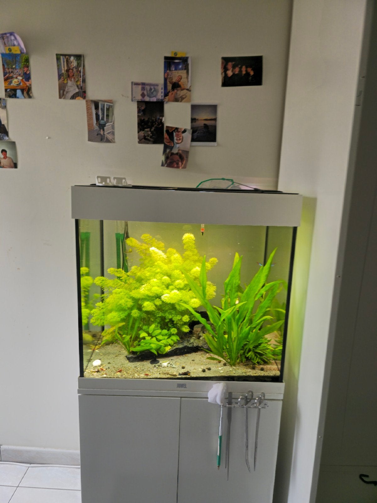 aquarium Juwel Lido 120, Dieren en Toebehoren, Ophalen, Pomp, Zo goed als nieuw, Juwel