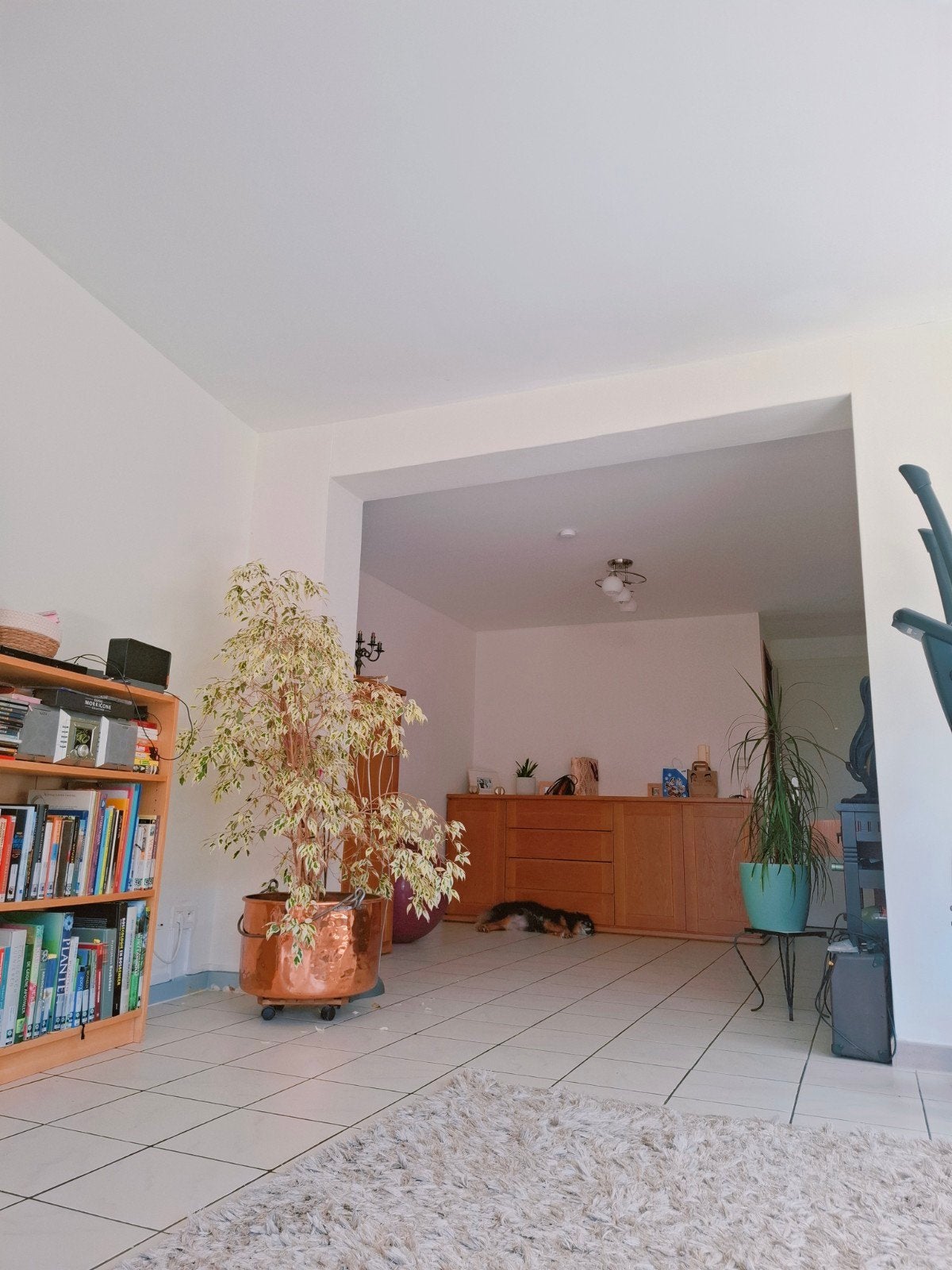 TE KOOP: APPARTEMENT MET 3 SLAAPKAMERS EN GROTE TUIN, Immo
