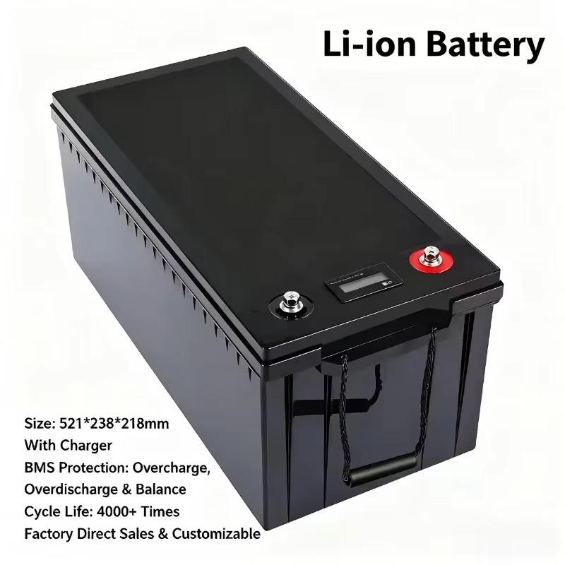 Batterie LFP 48V avec BMS, Enlèvement, Neuf