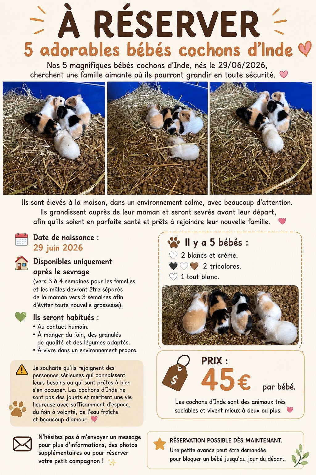 5 bébés cochons d’Indes, Enlèvement, Comme neuf