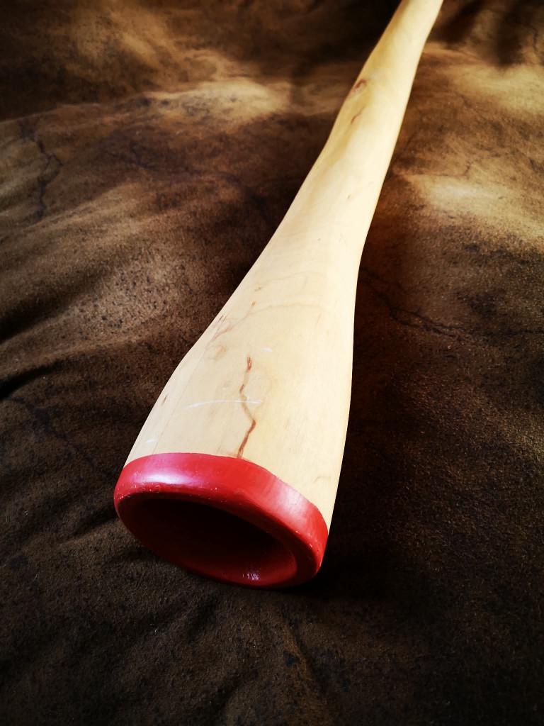 Didgeridoo, Musique & Instruments, Enlèvement, Neuf