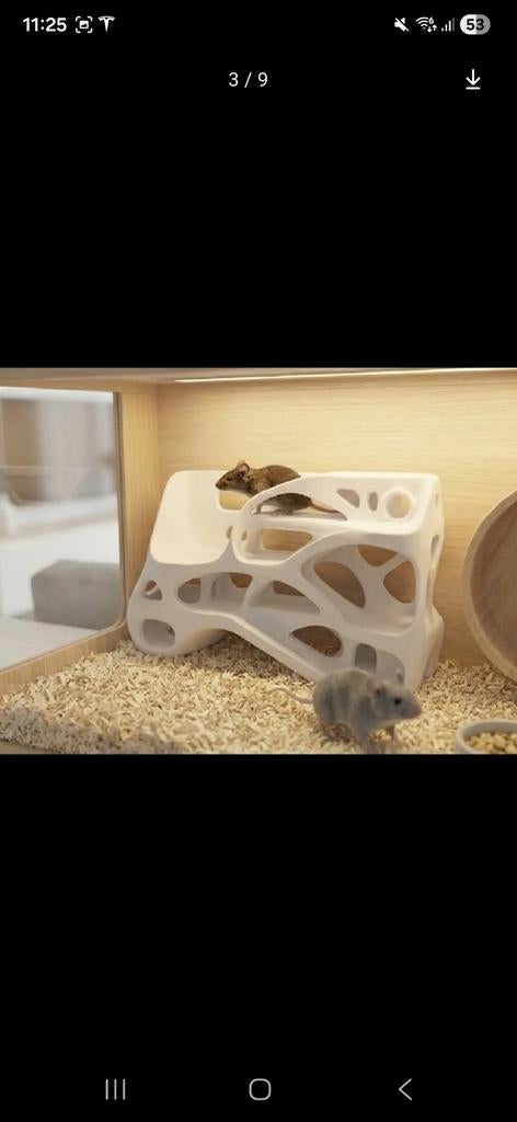 Tout pour les hamsters, les maisons, les jouets, les échelle, Enlèvement, Hamster