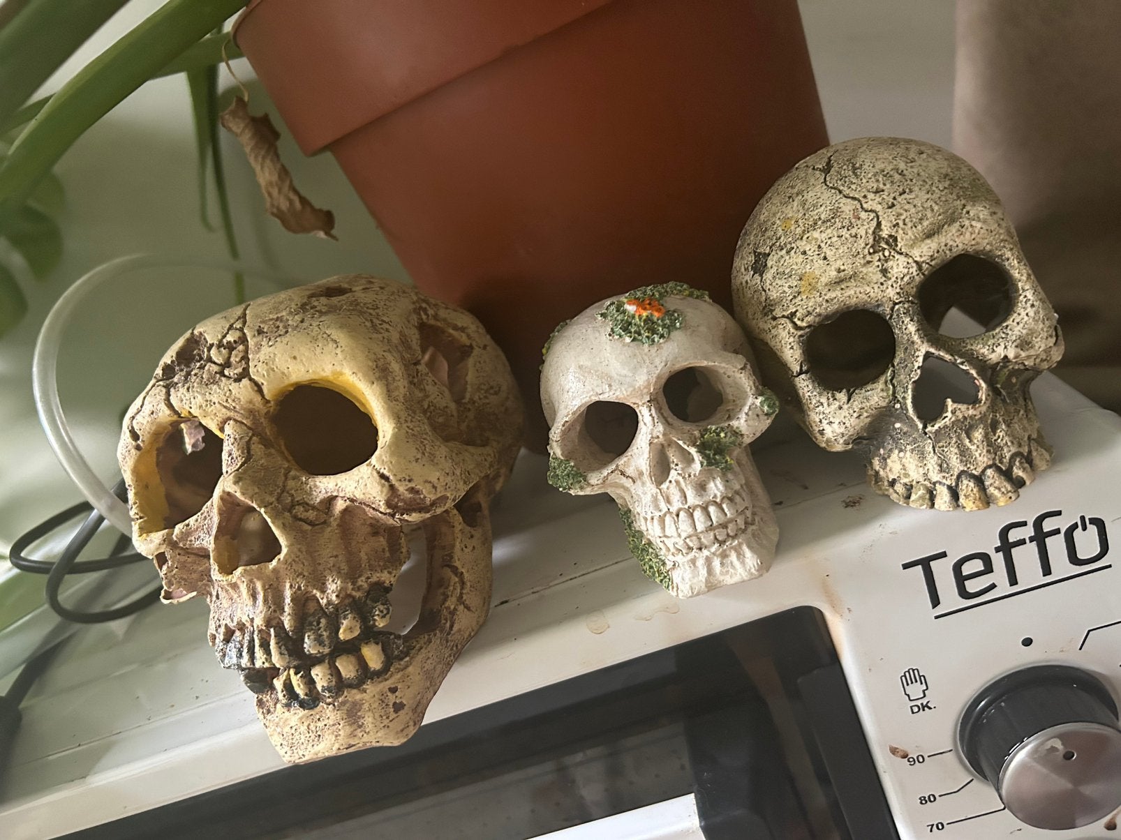 Schedel  - Aquariumdecoratie, Dieren en Toebehoren, Ophalen of Verzenden, Zo goed als nieuw