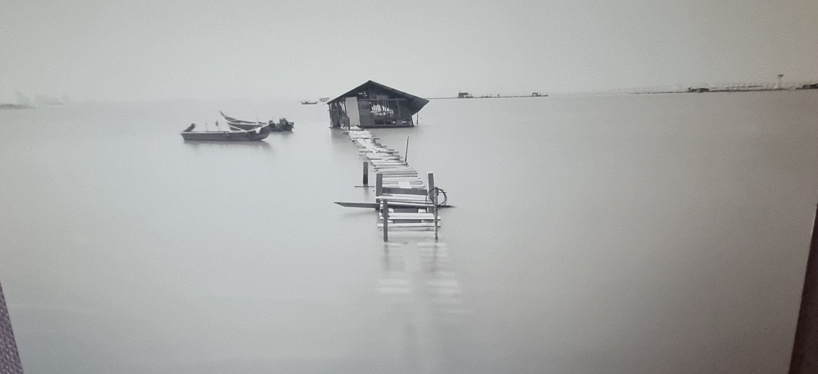 Peinture en noir et blanc, Enlèvement