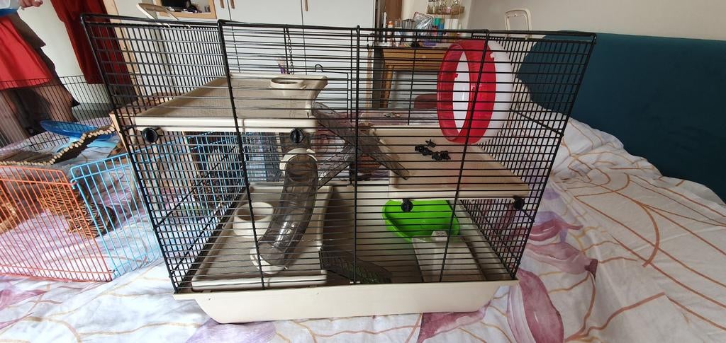 Hamsterkooi & buitenren met accessoires, Dieren en Toebehoren, Ophalen