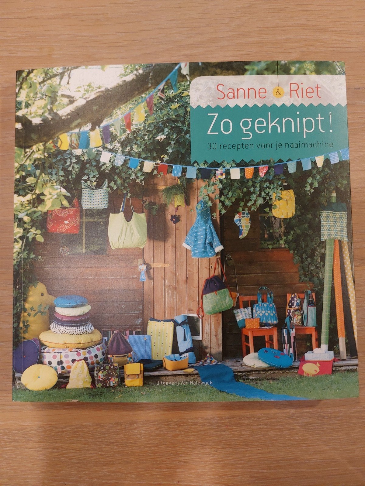Sanne & Riet Zo geknipt!, Ophalen of Verzenden, Zo goed als nieuw, Borduren en Naaien