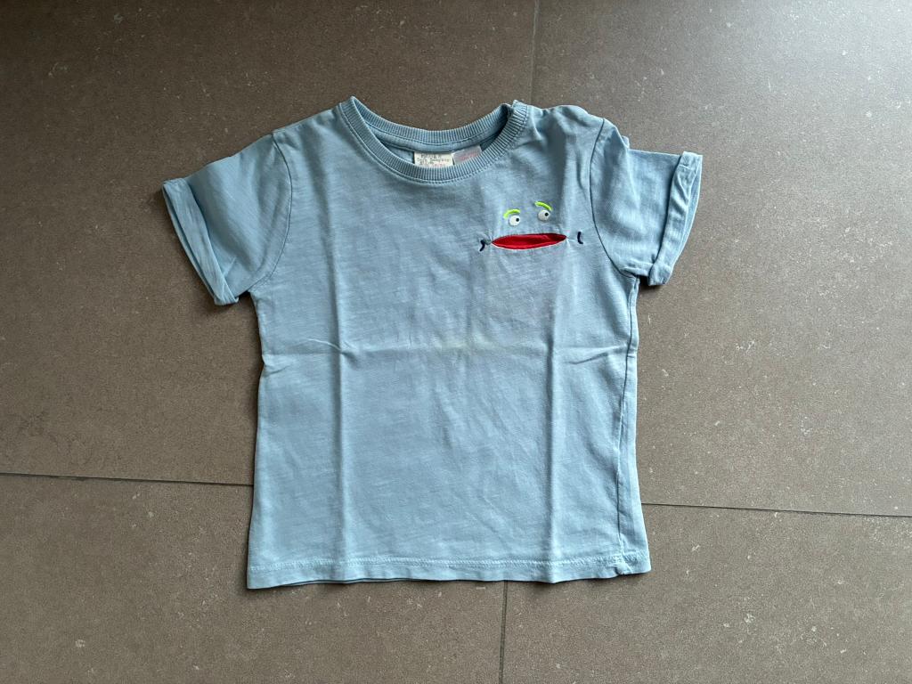 Lichtblauwe T-shirt van Zara (Maat 92 / 2 jaar), Enfants & Bébés, Vêtements enfant | Taille 92, Garçon, Enlèvement ou Envoi, Chemise ou À manches longues