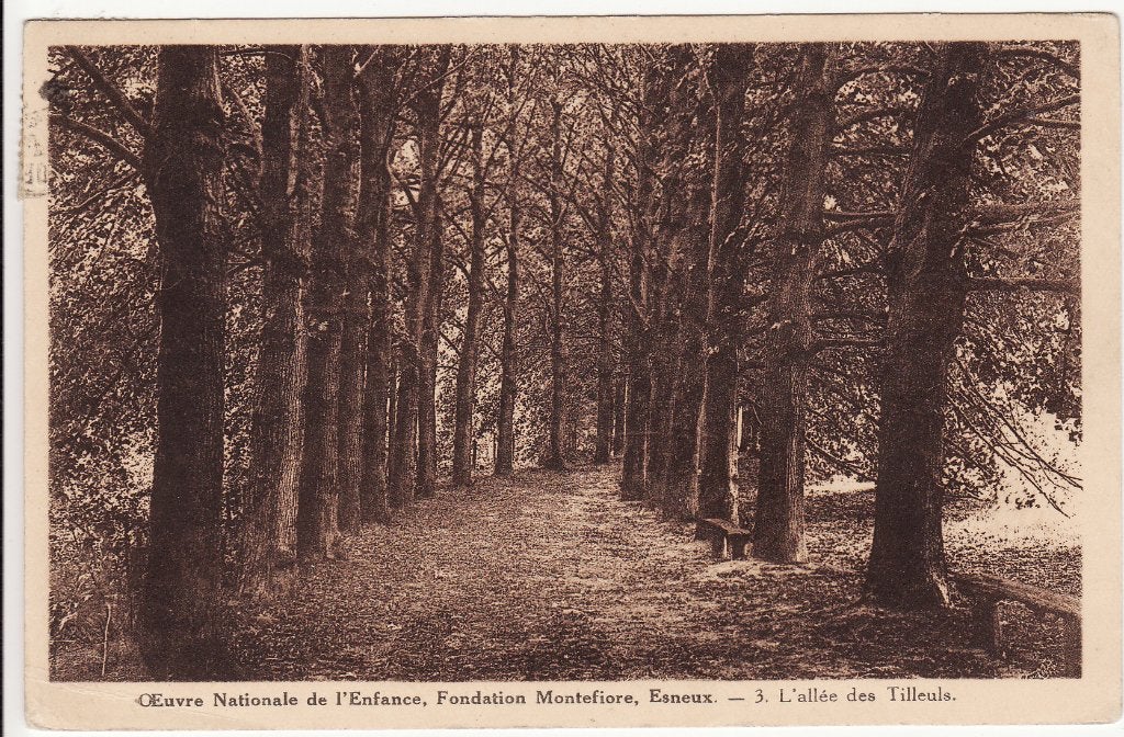 ESNEUX -  Lindenlaan  +  Mooie stempels !!, Verzenden, 1920 tot 1940, Gelopen, Luik