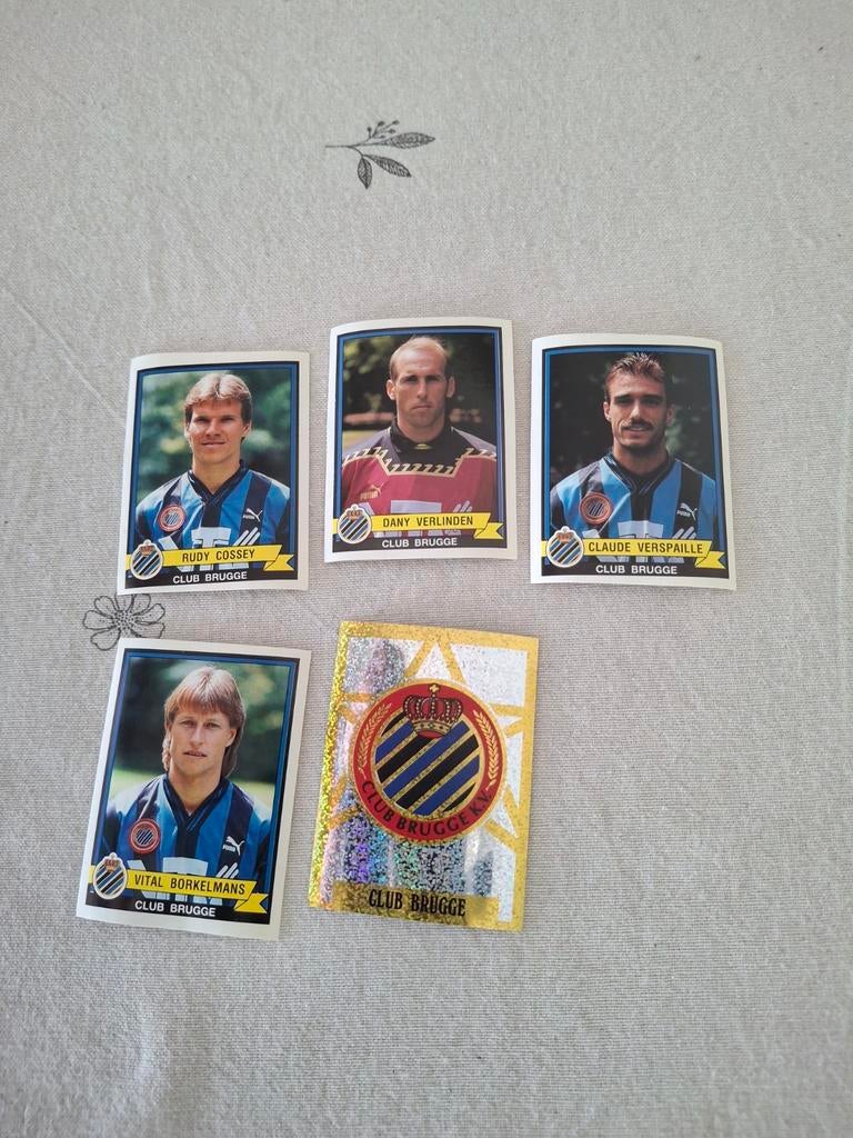 Panini football stickers club brugge 1994, Ophalen of Verzenden