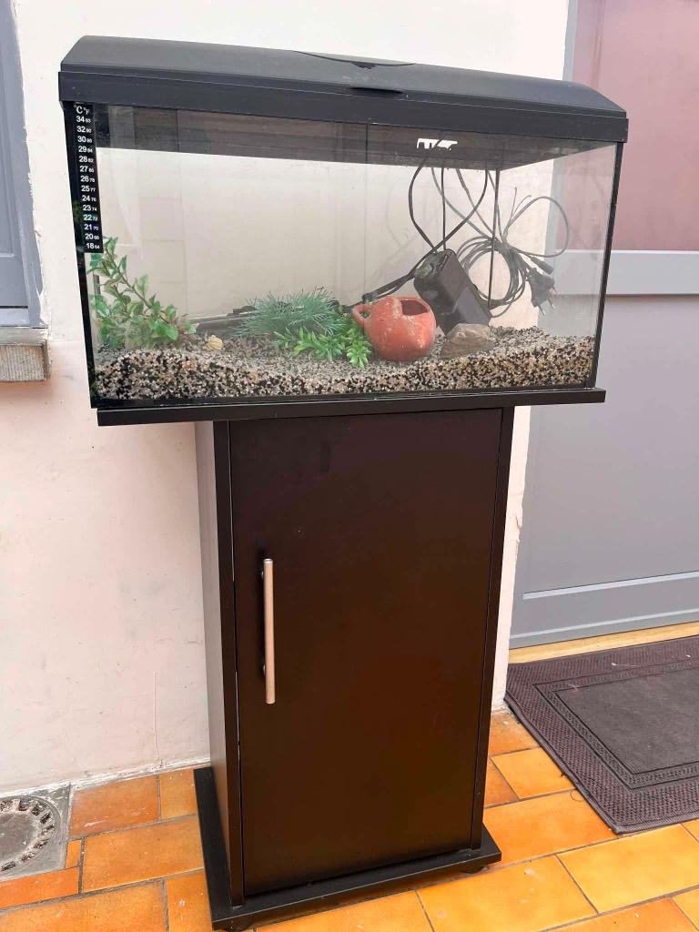 Aquarium + meuble + accessoires, Enlèvement, Accessoires inclus, Utilisé, Meuble d'aquarium