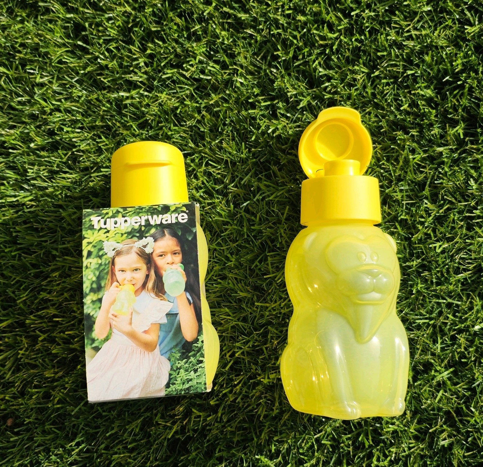 2 bouteilles écologiques Tupperware - Lion, Enlèvement ou Envoi, Neuf