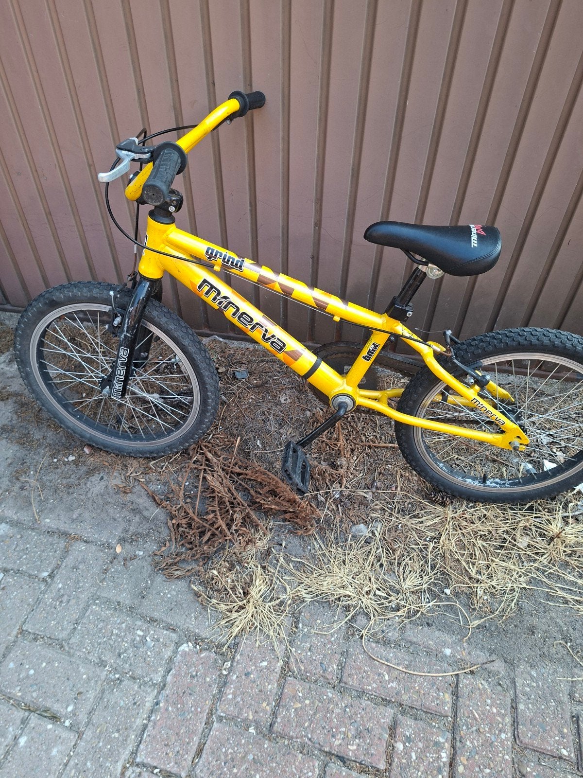 bmx minerva, Enlèvement