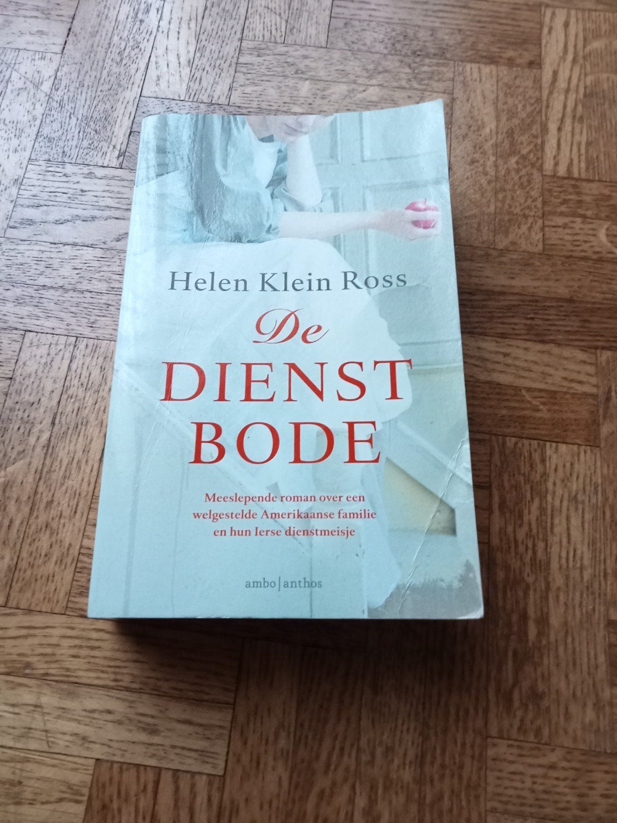 Helen Klein Ross: De dienstbode, Boeken, Ophalen of Verzenden, Gelezen, Amerika