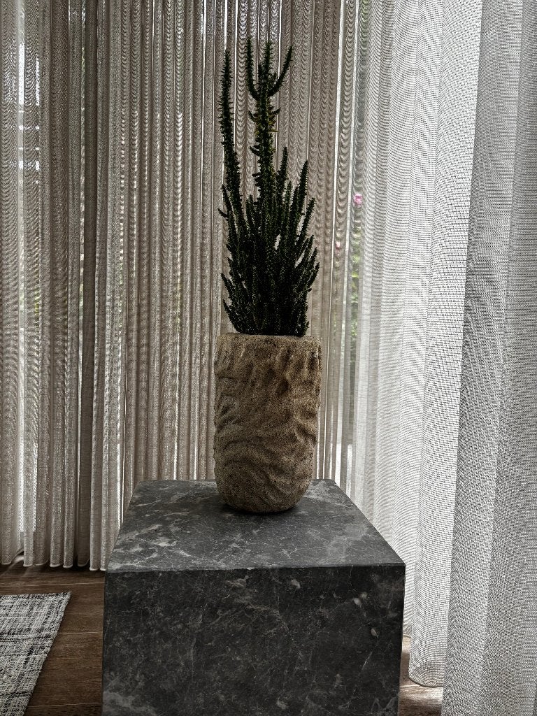 Cactus opuntia, plante d'intérieur XL, dans un pot en pierre, Maison & Meubles, Plantes d'intérieur, En pot, Moins de 100 cm, Enlèvement