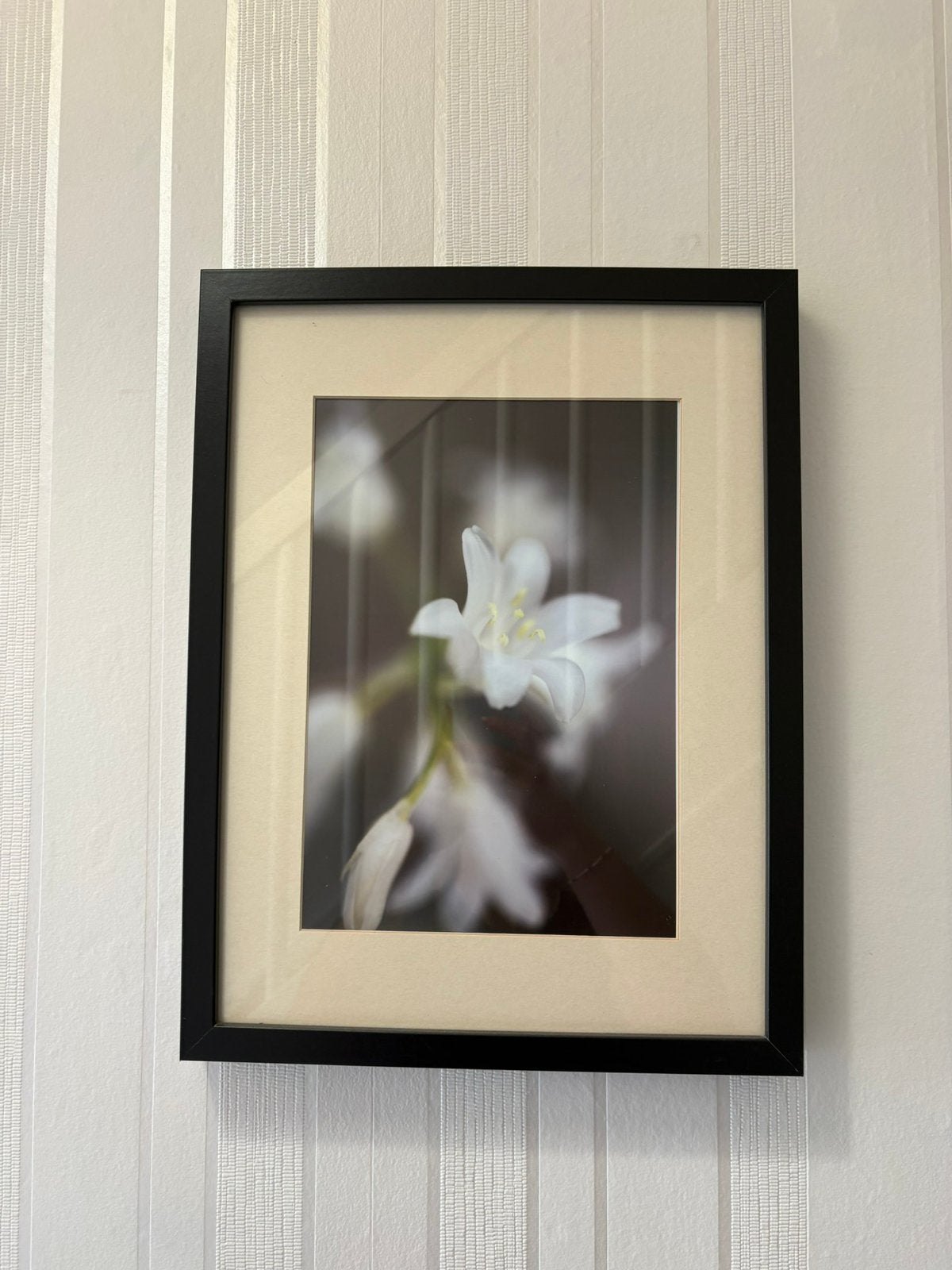 2 cadres avec fleur blanche, Enlèvement, Utilisé