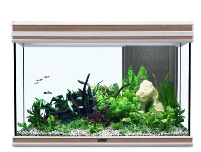 aquarium 350l, Enlèvement