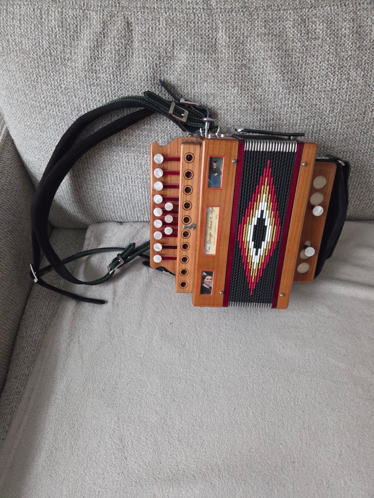 Accordéon diatonique, Musique & Instruments, Accordéons, Enlèvement