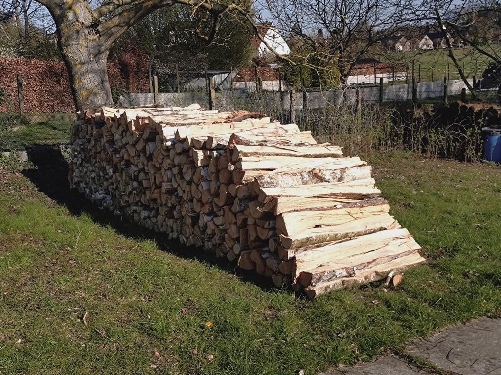 Brandhout berk, Ophalen