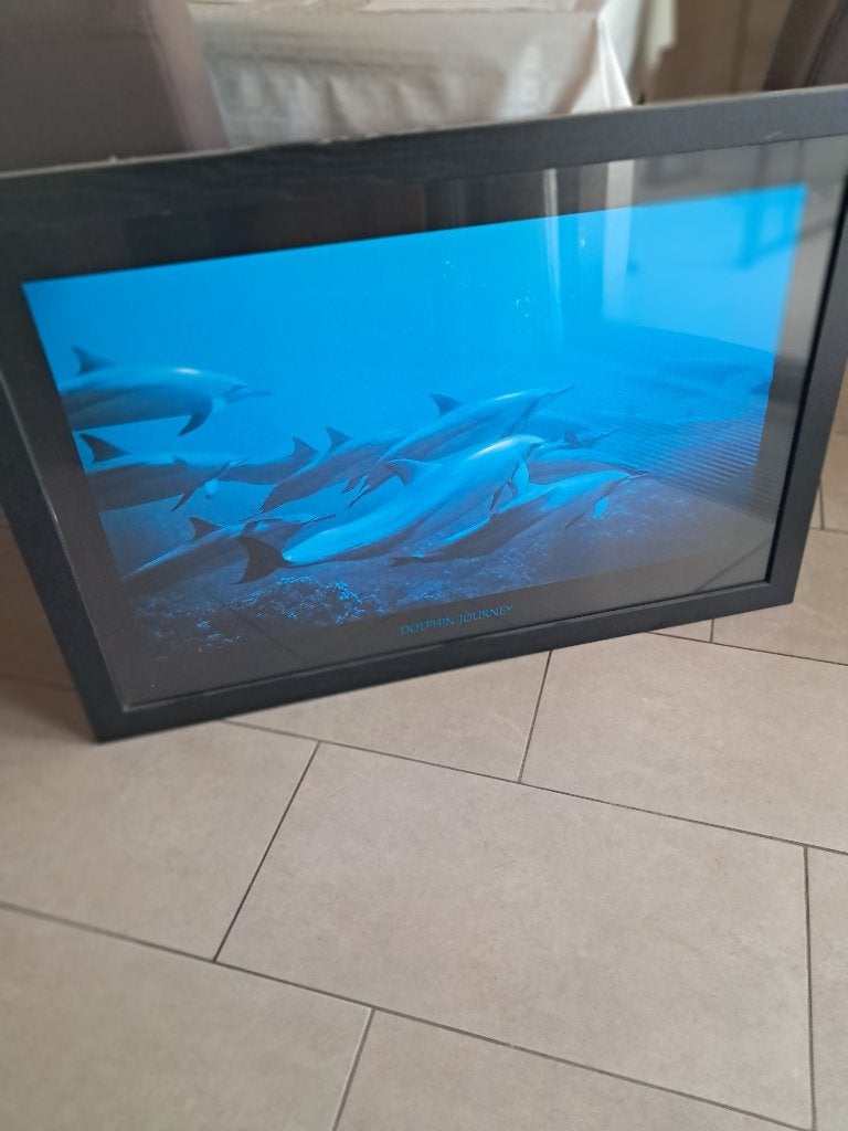 schilderij ,fotokader met dolfijnen GRATIS, Ophalen, Schilderij