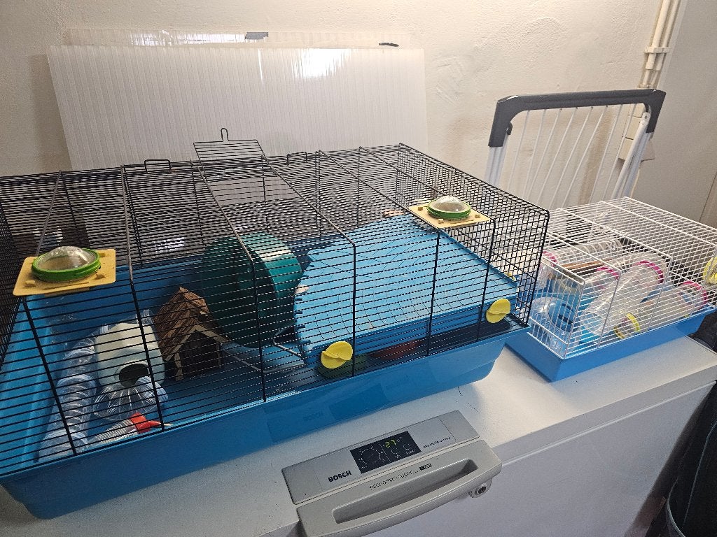 Hamsterkooien, Animaux & Accessoires, Rongeurs & Lapins | Cages & Clapiers, Utilisé, Cage, Moins de 60 cm, 75 à 110 cm, Hamster