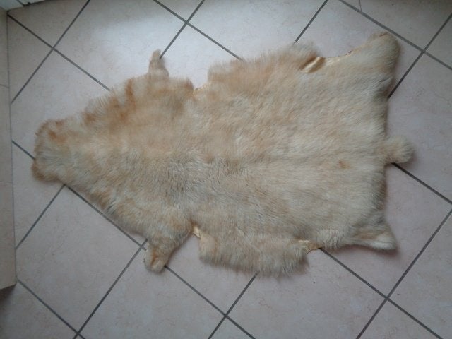 Peau de Mouton. Originale. vintage., Envoi