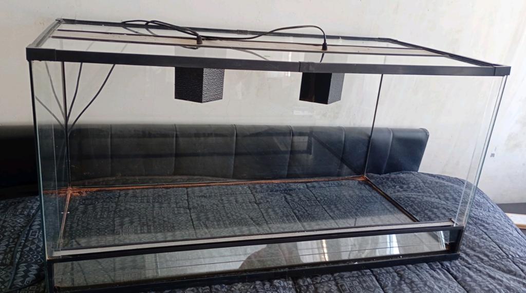 Terrarium 100x50x50 cm - Lumières incluses, Enlèvement, Utilisé, Terrarium ou Paludarium