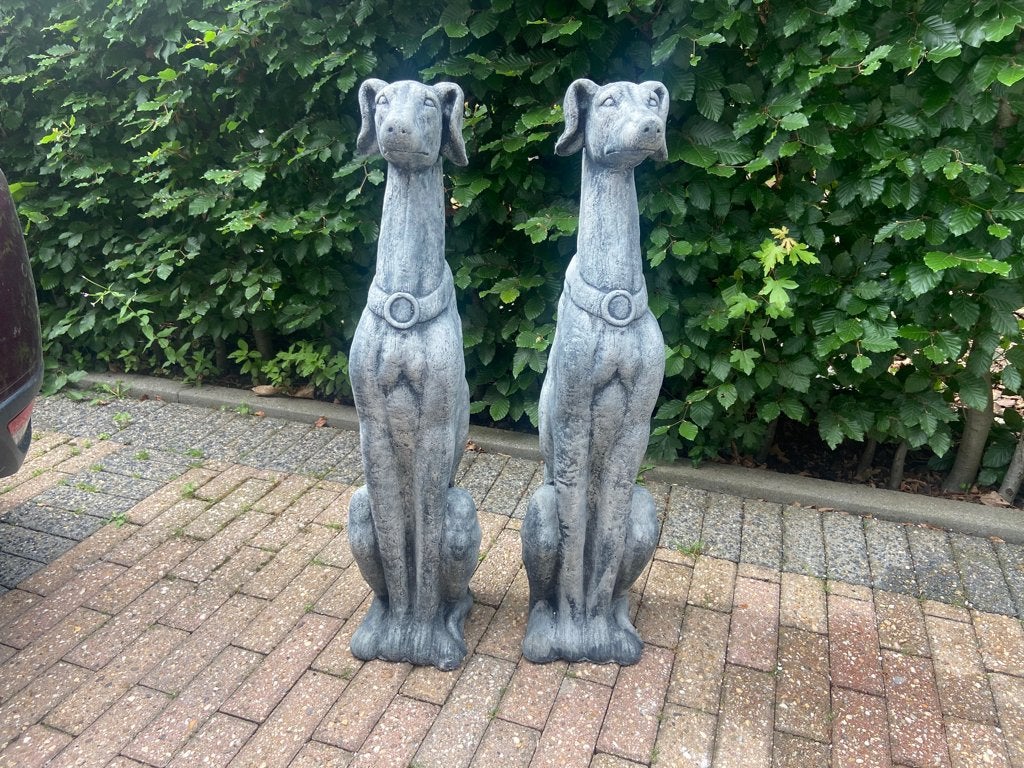 Ensemble de whippets, hauteur 78 cm, Enlèvement, Neuf, Béton, Animal